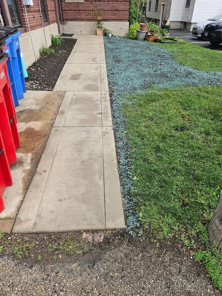 Newly poured concrete sidewalk