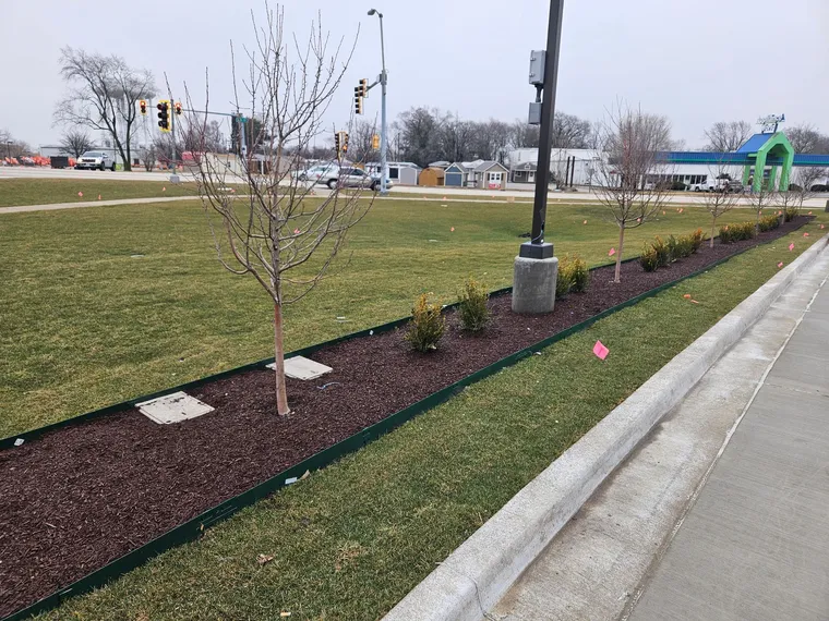 Commercial landscaping with fresh shrubs and mulch
