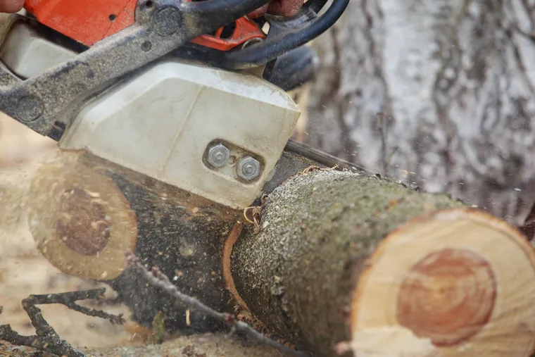 Professional handling equipment for tree and stump work